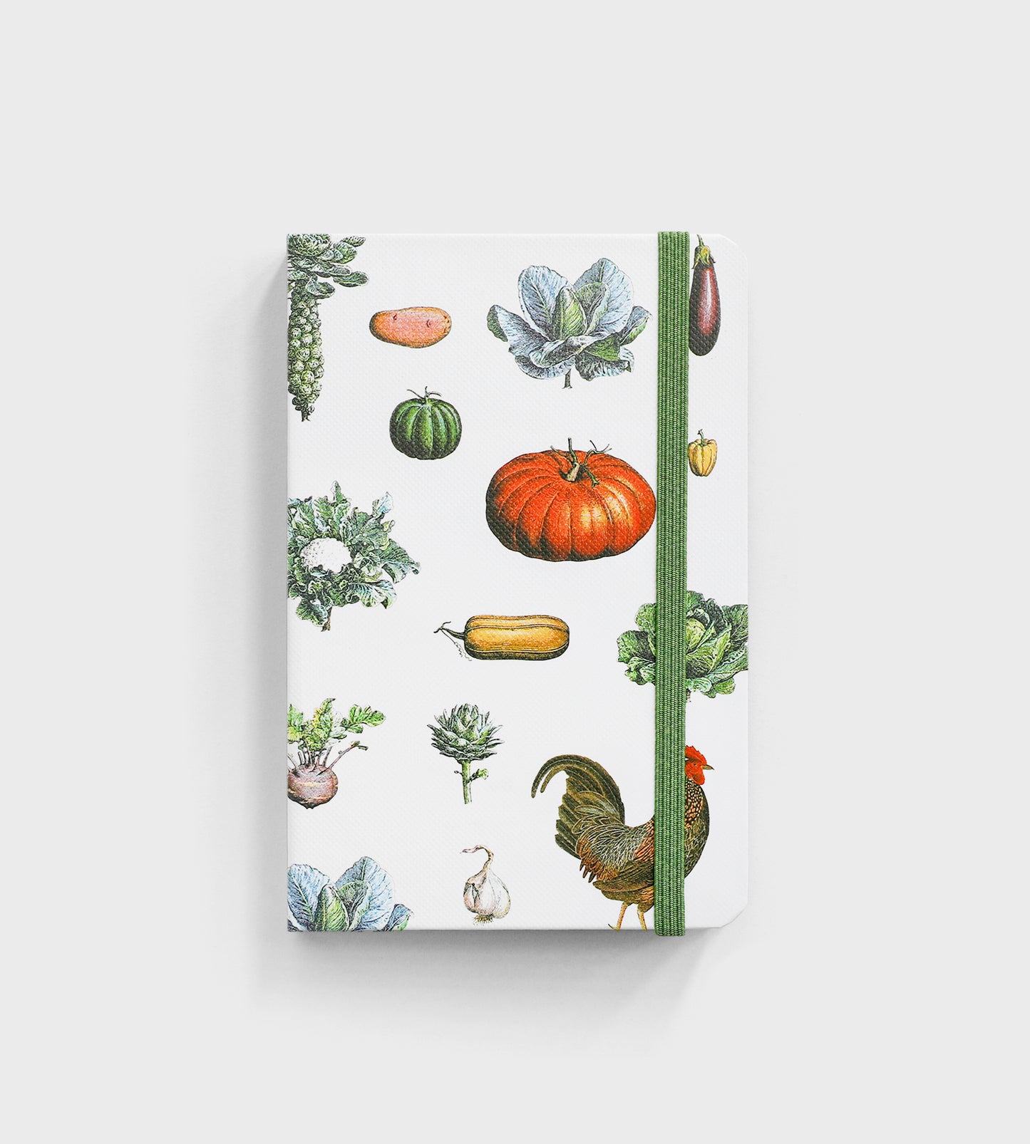 FATHER RABBIT A6 HARD COVER NOTEBOOK VINTAGE VEGETABLES